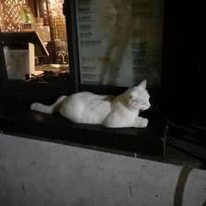 91精品婷婷国产综合久久韩漫
